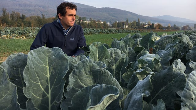 Ein Mann sitzt hinter einem Feld Ein Mann sitzt hinter einem Feld