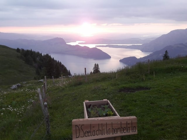 Blick auf den Vierwaldstättersee von der Alp Tritt oberhalb von Emmetten (NW).