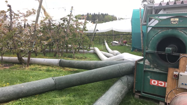 Schläuche führen vom Haugebläse weg Schläuche führen vom Haugebläse weg