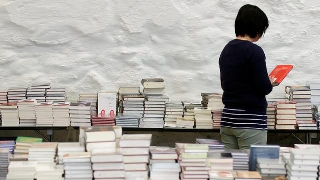 Frau liest Buch. Frau liest Buch.