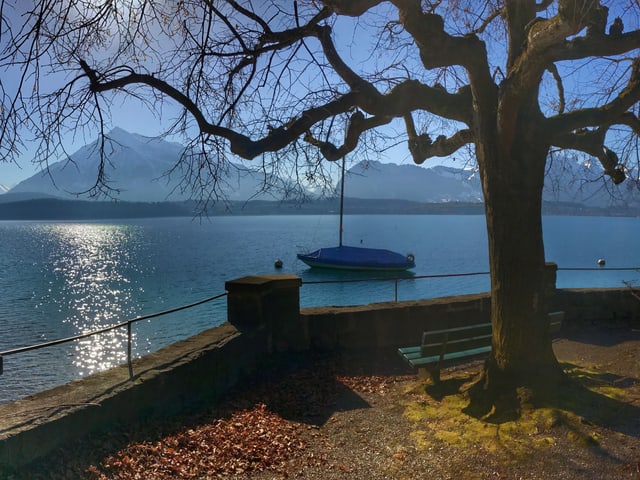 Ufer des Thunersees mit Sitzbänkli, Blick über den See Richtung Niesen.