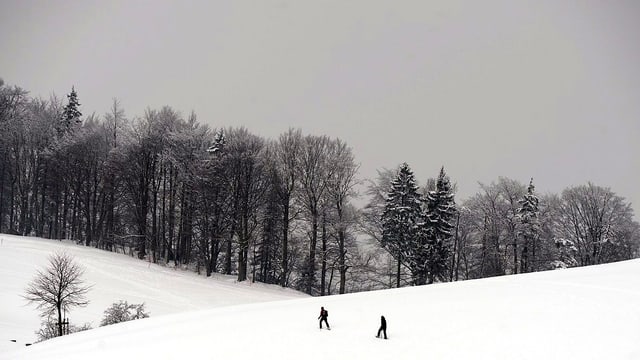 Schneeschuhwanderer in verschneiter Landschaft. Schneeschuhwanderer in verschneiter Landschaft.