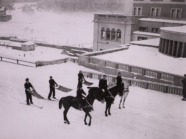 Skikjöring. Skikjöring.