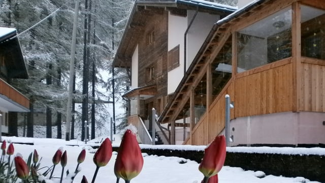 Verschneite Gärten in Oberwald. Verschneite Gärten in Oberwald.