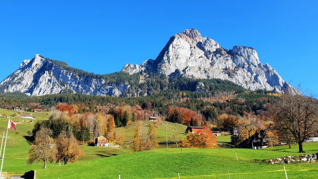 Farbige Herbstbäume dahinter die Mythen vor einem wolkenlosen Himmel. Farbige Herbstbäume dahinter die Mythen vor einem wolkenlosen Himmel.