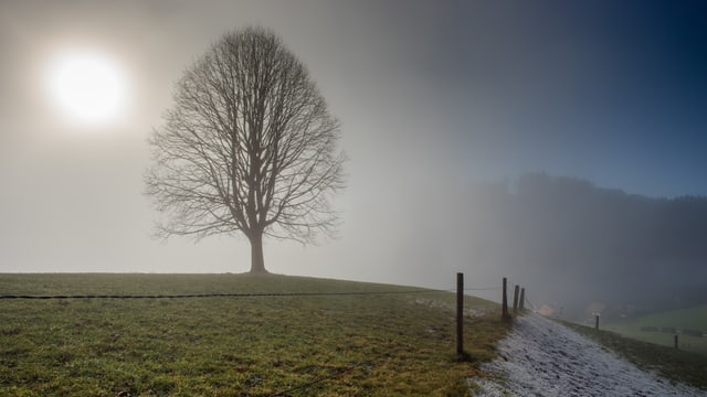 Landschaft im Appenzellerland: Die Sonne scheint diffus durch den Nebel. Landschaft im Appenzellerland: Die Sonne scheint diffus durch den Nebel.