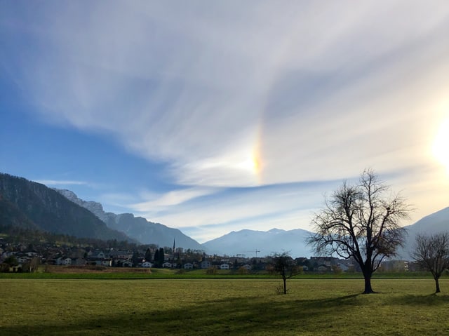 Halo Phänomen, im Vordergrund eine Wiese mit einem Baum, am Himmel dünne Wolkenschleier mit dem Halo - Effekt.