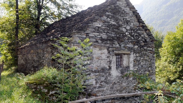 ein verlottertes Rustico im Tessin ein verlottertes Rustico im Tessin