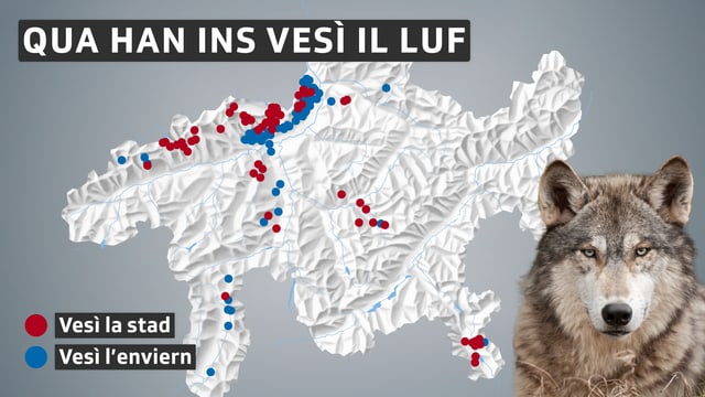 Carta dal Grischun nua ch'il luf è vegnì vesì. Carta dal Grischun nua ch'il luf è vegnì vesì.