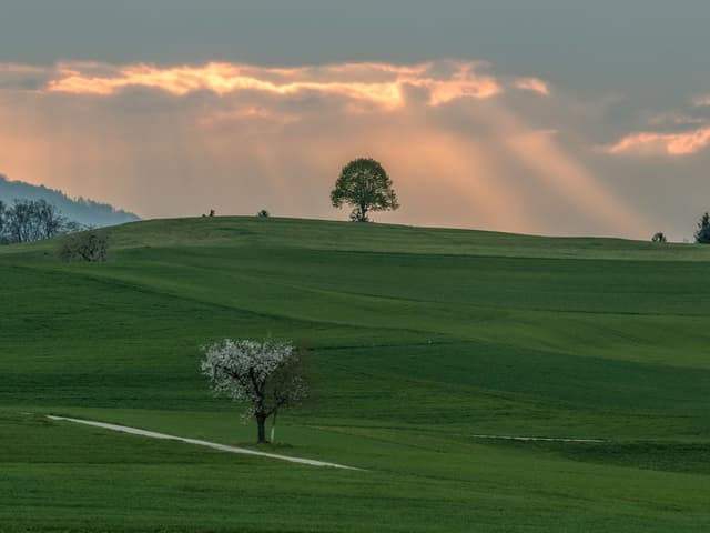 Im Vordergrund grüne Hügel mit Bäumen. Dahinter dringen helle Sonnenstrahlen durch dunkle Wolken.
