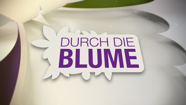 Durch die Blume, Wiederholungen von 2013 Durch die Blume, Wiederholungen von 2013