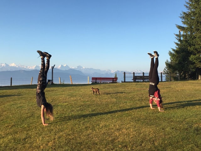 Zwei Mädchen im Handstand auf einer Wiese, zwischen den beiden spaziert eine Katze hindurch, es herrscht wolkenloses Wetter.