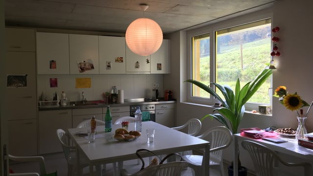 Die Küche des Allergikerhauses: Zwei Tische stehen im Raum, auf dem einen eine Sonnenblume, auf dem andere Getränkeflaschen. Die Küche des Allergikerhauses: Zwei Tische stehen im Raum, auf dem einen eine Sonnenblume, auf dem andere Getränkeflaschen.