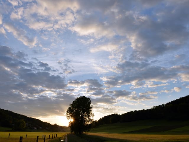 Flaches Tal mit Baum in der Mitte, die Sonne scheint durch die Blätter. Am Talboden hat es gelbe Felder, der Himmel ist blau-grau und leicht bewölkt.