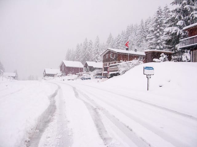 Auf der Passhöhe Schwägalp SG (1300 m ü.M.) war es am Mittag noch grün, bis am Abend fielen 10 cm Schnee.