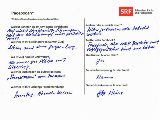 Der von Beat Villiger ausgefüllte Fragebogen. Der von Beat Villiger ausgefüllte Fragebogen.