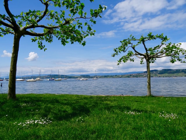 Murtensee bei schönem Frühlingswetter inklusivehohem Wasserstand.