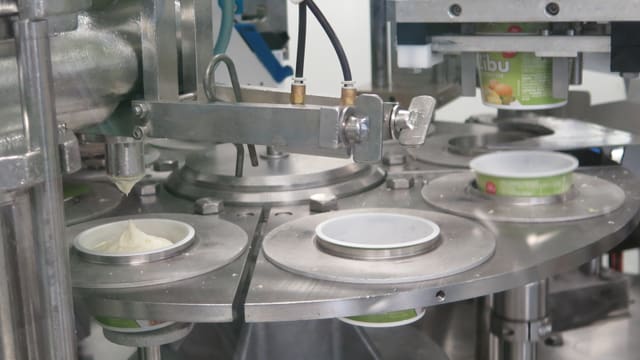 Maschine füllt Zibu in kleine Becher Maschine füllt Zibu in kleine Becher