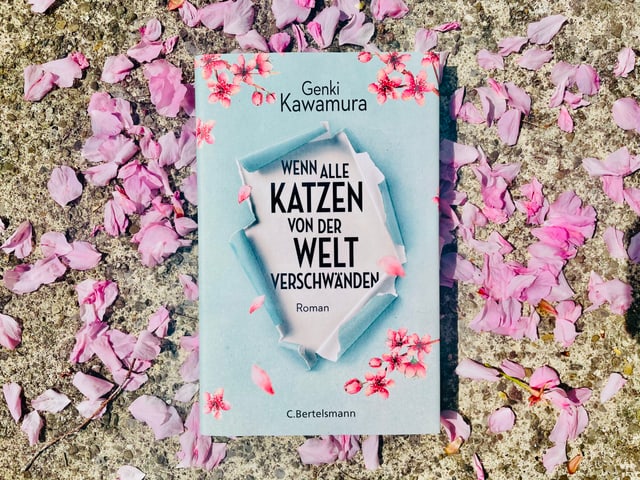 Der Roman «Wenn alle Katzen von der Welt verschwänden» von Genki Kawamura liegt auf Kirschblüten Der Roman «Wenn alle Katzen von der Welt verschwänden» von Genki Kawamura liegt auf Kirschblüten