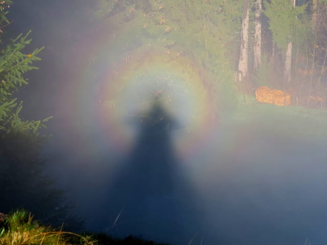 Blick auf den Schatten von Werner Zwahlen mit einer Glorie um den Kopf.