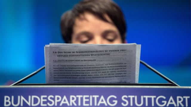 Frauke Petry, la schefa da la partida AfD legia il chapitel decidÌ Frauke Petry, la schefa da la partida AfD legia il chapitel decidÌ
