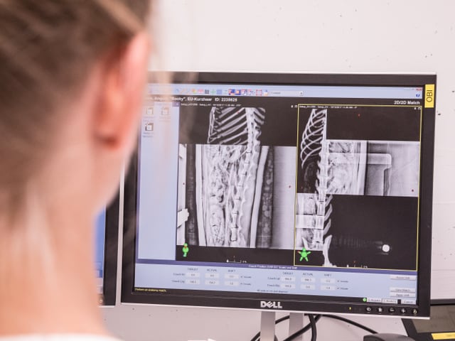 Eine Frau schaut auf einen Monitor. Auf ihm sind CT-Bilder des Katzenkörpers zu sehen. Eine Frau schaut auf einen Monitor. Auf ihm sind CT-Bilder des Katzenkörpers zu sehen.