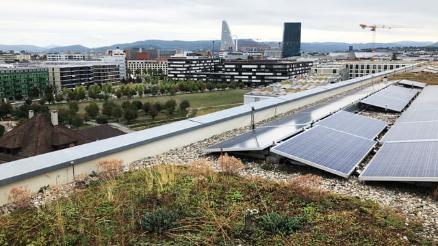 Dachbegrünung in der Stadt Basel Dachbegrünung in der Stadt Basel