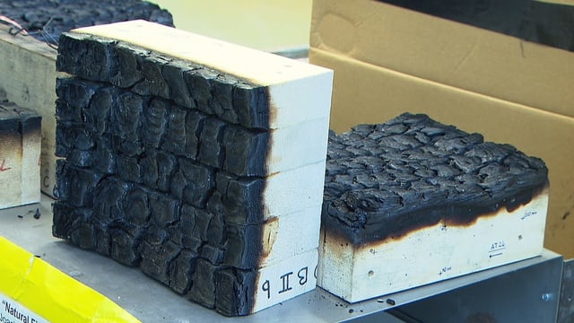 Angekohltes Holzstück nach einem Laborversuch. Angekohltes Holzstück nach einem Laborversuch.