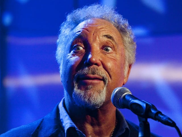 Sänger während Konzert. Sänger während Konzert.