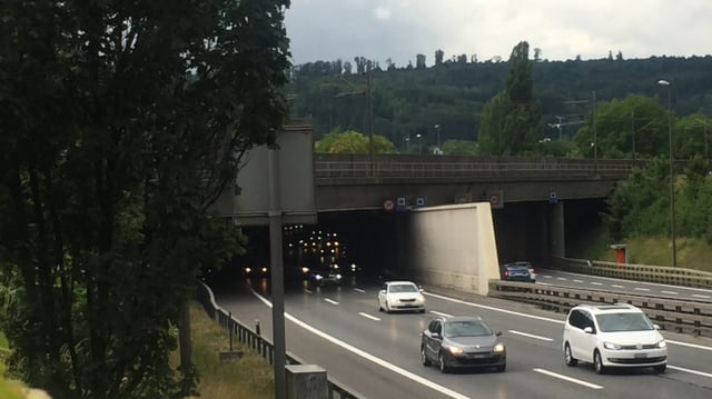 Das südliche Portal der Überdeckung Neuenhof. Das südliche Portal der Überdeckung Neuenhof.
