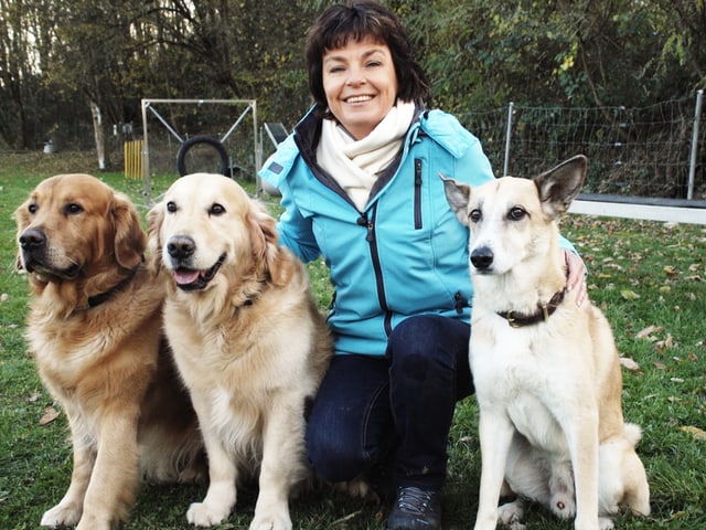 Monika Fasnacht mit 2 Golden Retrievers und Filou. Monika Fasnacht mit 2 Golden Retrievers und Filou.
