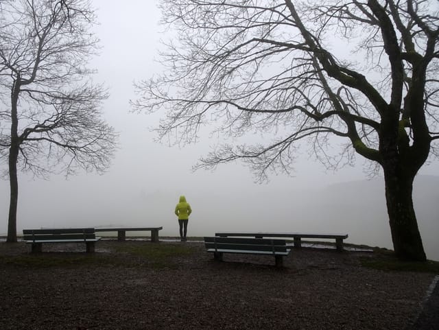 Eine Person steht auf einem Aussichtspunkt mit zwei Bäumen und Bänken. Die Aussicht ist getrübt durch Nebel. Eine Person steht auf einem Aussichtspunkt mit zwei Bäumen und Bänken. Die Aussicht ist getrübt durch Nebel.