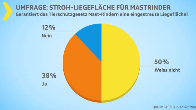 grafik grafik