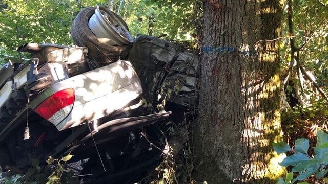 Schwer beschädigtes Auto liegt auf dem Dach zwischen Bäumen. Schwer beschädigtes Auto liegt auf dem Dach zwischen Bäumen.