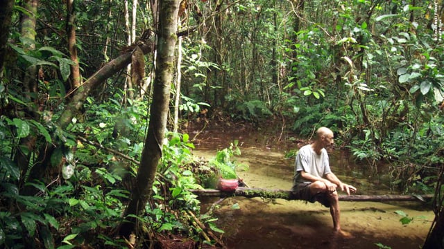 Atmosphärisches Bild des gebürtigen US-Amerikaners Louis Sarno im Regenwald des Kongobeckens.
