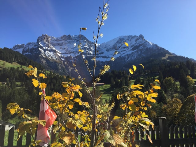 Etwas Schnee in den Bergen, blauer Himmel und goldige Herbstblätter.