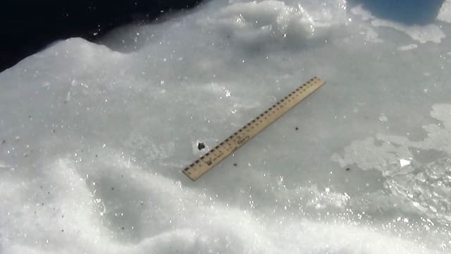 Steinchen mit Massstab auf Eis