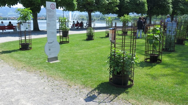 Ausstellung Ausstellung