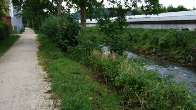 Wigger bei Strengelbach Wigger bei Strengelbach