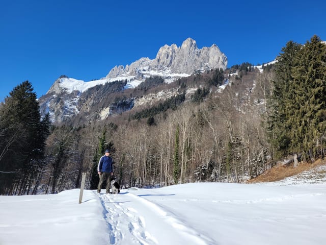 Ein Mann mit Hund in der Schneelandschaft.
