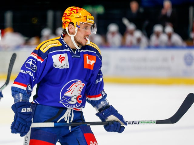 Sven Adrighetto im Dress der ZSC Lions. Sven Adrighetto im Dress der ZSC Lions.