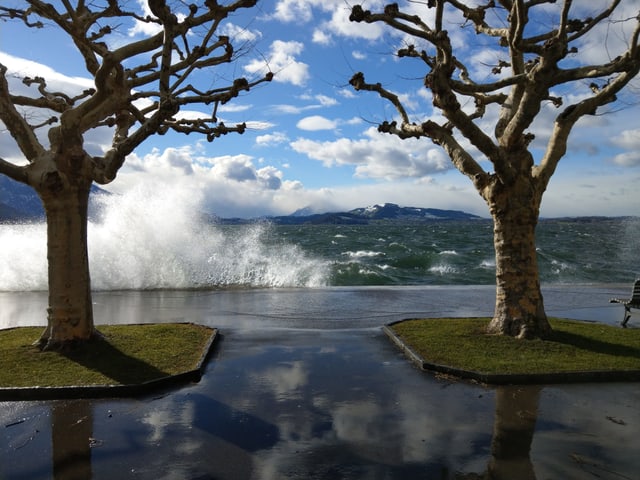 Der stürmische Wind peitscht das Seewasser ans Ufer, im Vordergrund zwei Bäume und eine Bank an der Uferpromenade.