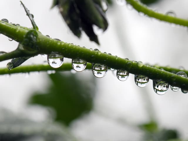 Vielerorts fiel Regen.