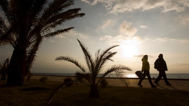 Zwei Personen spazieren an einem Strand mit Palmen. Zwei Personen spazieren an einem Strand mit Palmen.