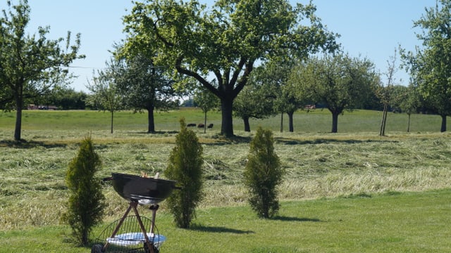Gemähte Wiese mit Grill im Kanton Thurgau. Gemähte Wiese mit Grill im Kanton Thurgau.