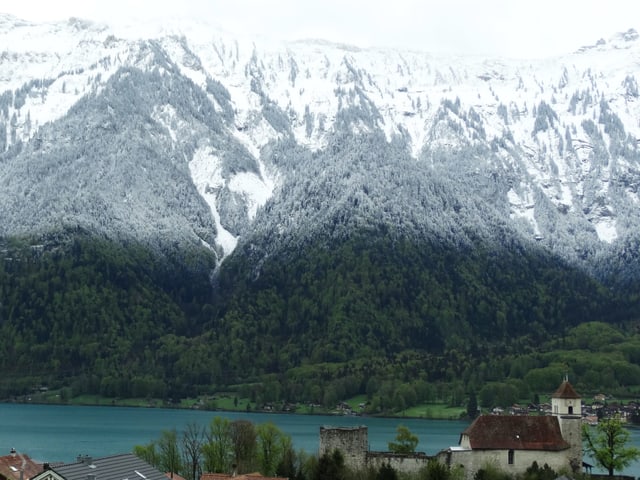 Grüne Landschaft und See, Wald oben angezuckert.