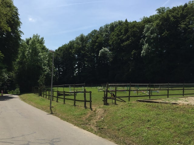 Wiese für Pferede