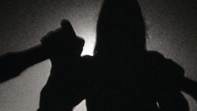 Video «CH:Filmszene - The Sound of Insects» abspielen Video «CH:Filmszene - The Sound of Insects» abspielen