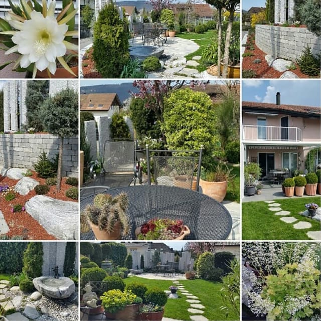 Collage mit Gartenbildern.