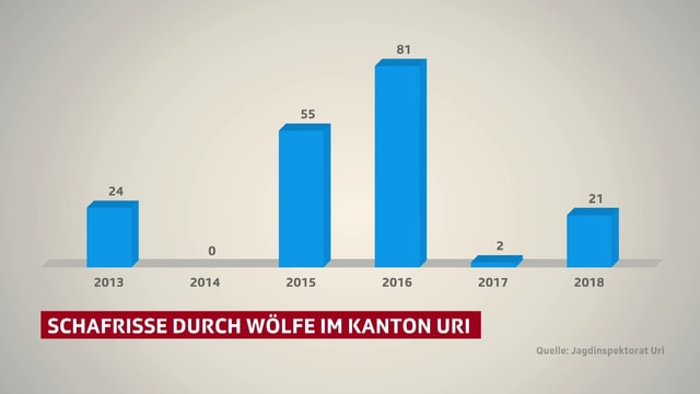 Grafik, welche die Zahl der Wolfsrisse im Kanton Uri zeigt. Grafik, welche die Zahl der Wolfsrisse im Kanton Uri zeigt.